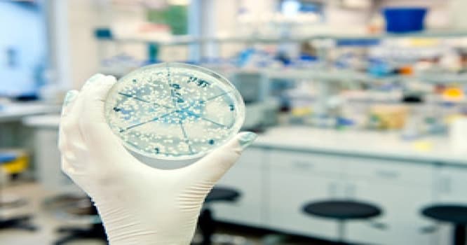 Vərəm Bakının hansı rayonlarında daha çox yayılıb? - Siyahı