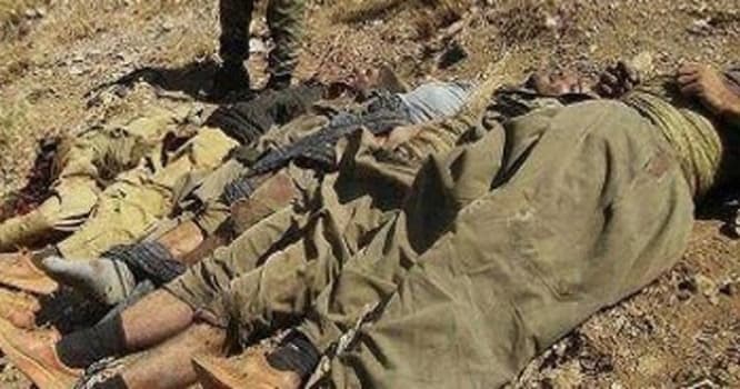 PKK-nın 16 üzvü məhv edildi