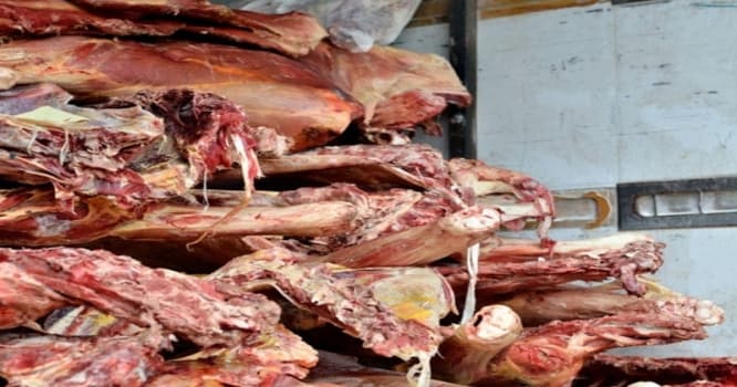 Bakıda xeyli miqdarda at əti aşkar edildi