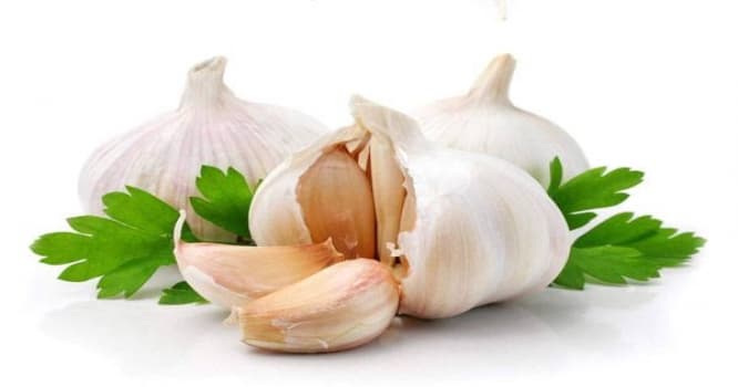 Cücərmiş sarımsaqları atmayın, çünki…
