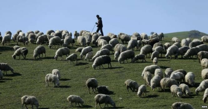 Türk fermer Rusiyanın təhlükəsizliyini "təhdid edir"