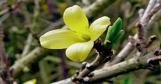 Sabah 19 dərəcə isti olacaq