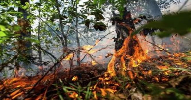 Kanadada meşə yanğınlarına görə 500 nəfər köçürülüb