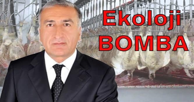 Deputatdan "Broyler bombası" - Lerikdən ŞOK KADRLAR