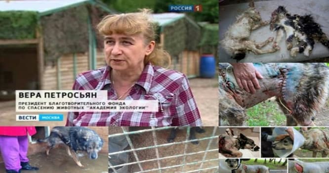Moskvada erməni vəhşiliyi: minlərlə insan ayağa qalxdı