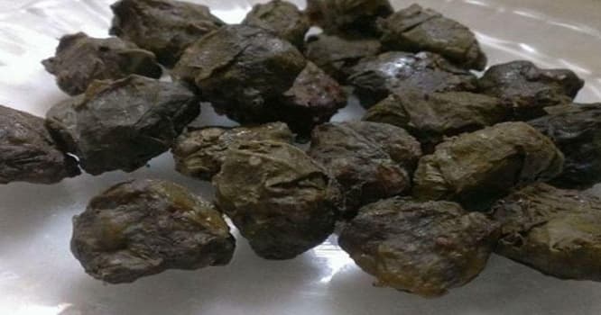 UNESCO-da "dolma" çəkişməsi: ermənilər narazıdır