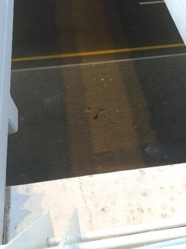 AFFA-nın biganəliyi könüllünün ölümünə səbəb oldu - FOTO