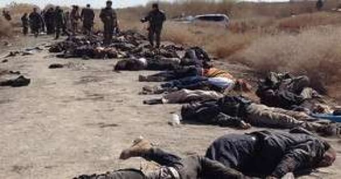 İraqın Müdafiə Nazirliyi: 3436 İŞİD terrorçusu məhv edilib