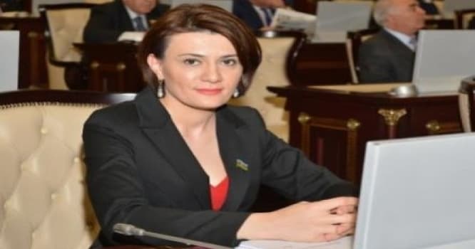 Xanım deputat Milli Məclisin bu komitəsindən çıxarıldı