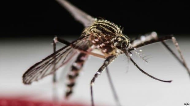 Dəhşətli virus Azərbaycana yaxınlaşdı - ÜST-dən xəbərdarlıq