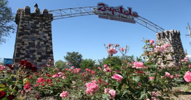 Zaqatalada xüsusi əməliyyat keçirildi, vəzifəli şəxslər saxlanıldı