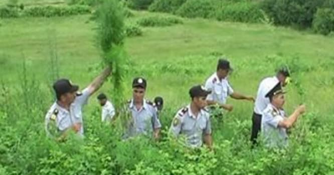 Nazirliyin işçisindən silah və narkotik aşkarlandı