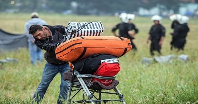 Qaçqınların sayı İkinci Dünya müharibəsi səviyyəsinə çatdı