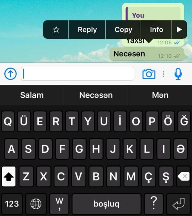 "WhatsApp"da əla yenilik - FOTO