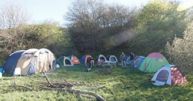35 manata yay turu - ƏLA TƏKLİF