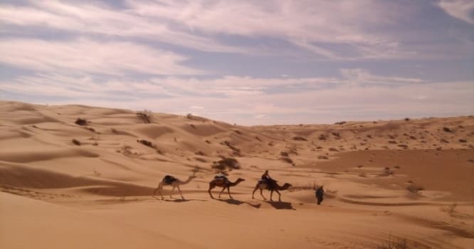 Sahara səhrasında 34 miqrantın meyidi tapılıb