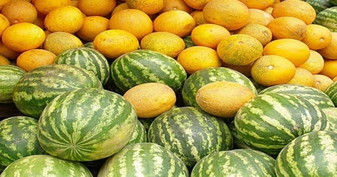 Satışdakı qarpız-yemiş təhlükəlidir? - AÇIQLAMA