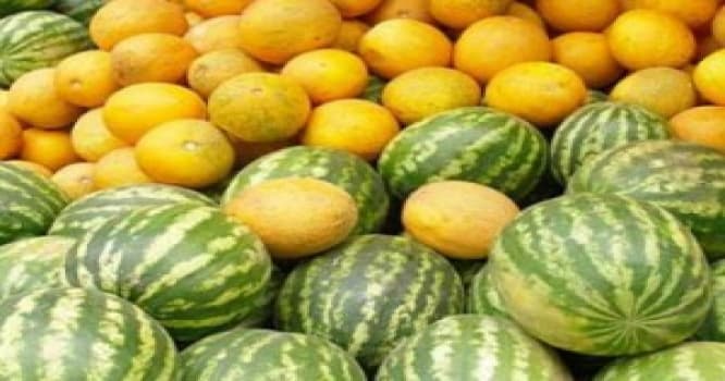 Nazirlikdən satışdakı qarpız-yemişlə bağlı açıqlama