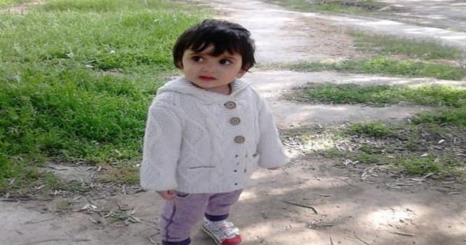 3 yaşlı uşağı "dustaq edən" bağça müdirinə verilən cəza - Töhmət
