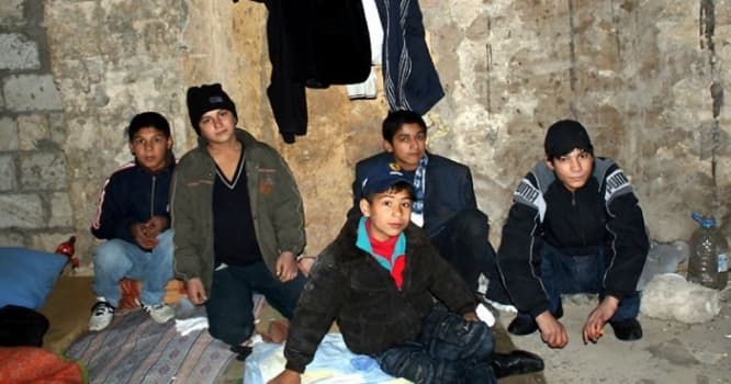 Küçə uşaqları: Komitə şok faktlar açıqladı