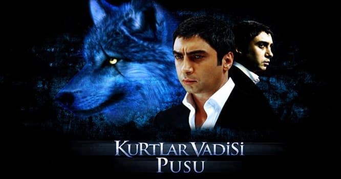 "Kurtlar Vadisi Pusu"nun davam etməsi sual altına düşə bilər