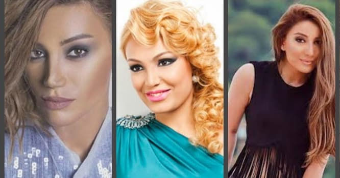 Azərbaycanlı məşhurların yeni qazanc mənməyi - FOTOLAR