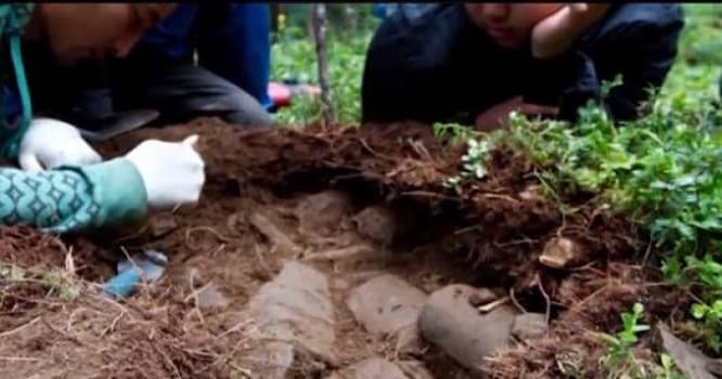 Çingizxanın məzarı açıldı, dünya təlaş içindədir - VİDEO