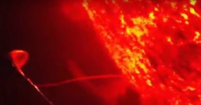 Naməlum uçan obyekt tapıldı - Günəşin enerjisini sorur
