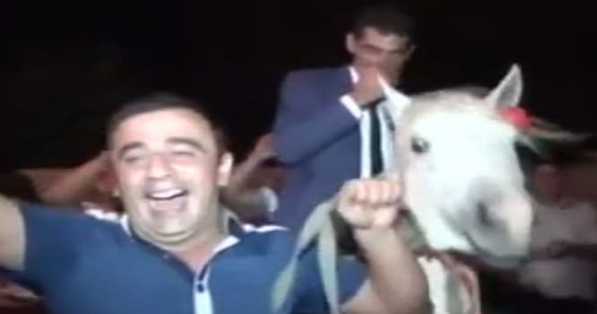Cəbhə xəttinə ən yaxın məsafədə toy çalındı - Video