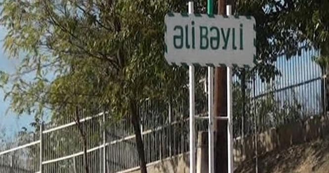 Əlibəylidə mal-qara minaya düşərək məhv olub