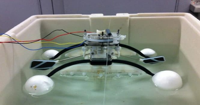 Canlılarla qidalanan robot