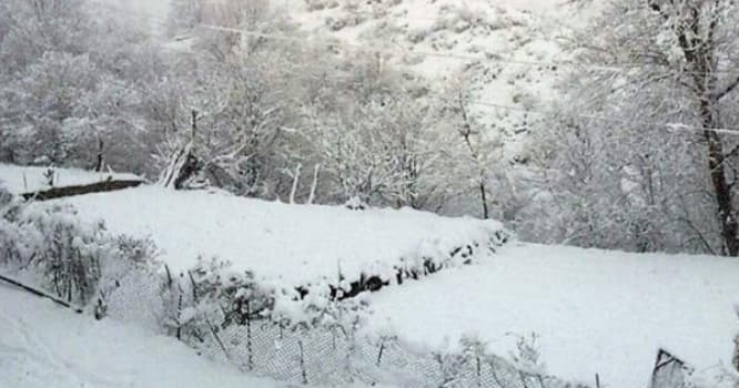 Azərbaycanda son 44 ilin anomal hadisəsi bu il təkrarlandı