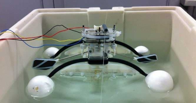 Canlı orqanizmlərlə “qidalanan” robot
