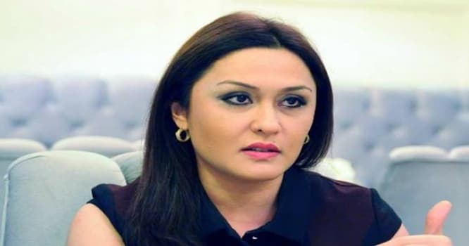 “Gənc Vətəndaş” Maarifləndirmə İctimai Birliyinə icraçı direktor təyin edildi