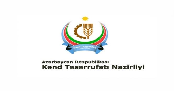 İş axtaranlara ƏLA FÜRSƏT