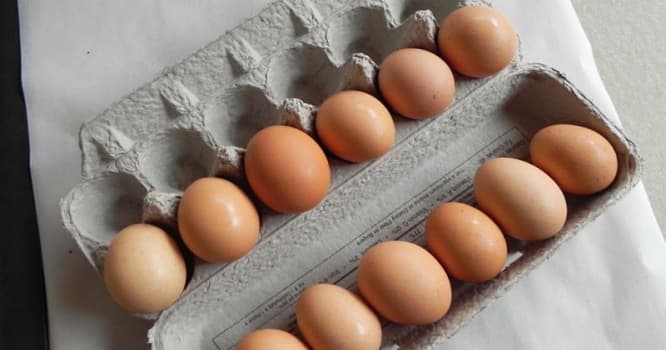 Süni Çin yumurtasının ölümə aparan DƏHŞƏTLİ FƏSADLARI
