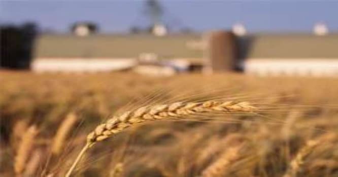 Un bahalaşır - ARAŞDIRMA