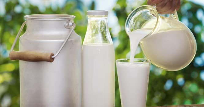 Beynin fəaliyyəti üçün ən faydalı ərzaq hansıdır?
