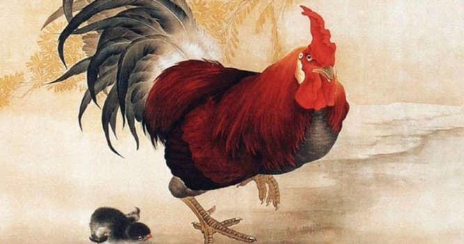 Xoruz ili hansı zodiak illəri üçün düşərli olacaq?