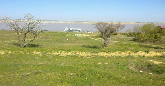 İstifadəsiz torpaqların dövriyyəyə qaytarılması üçün - Xüsusi qaydalar