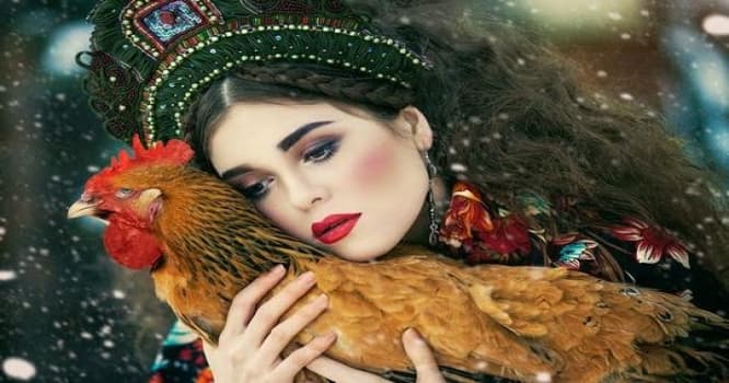 2017-ci ildə bizi nələr gözləyir? – İş, sevgi, maliyyə