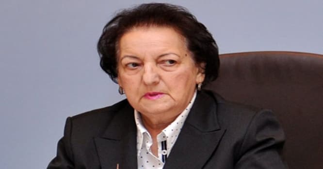 Elmira Süleymanova da işə qarışdı
