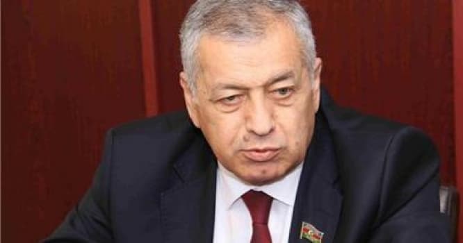 "Orada qadına qarşı zor işlədilib” - Millət vəkili
