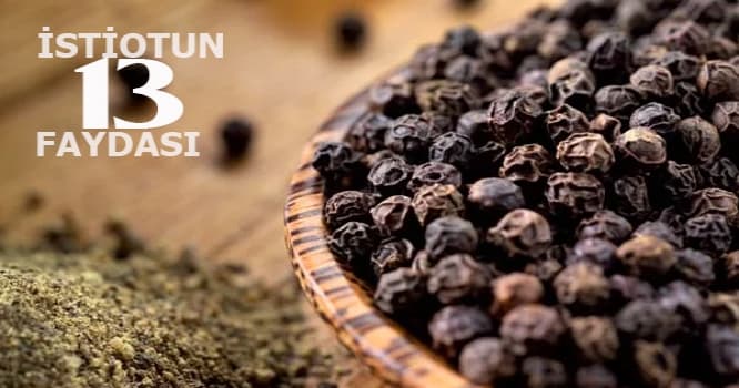 Qara istiotun inanılmaz 13 FAYDASI
