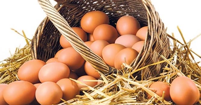 Litvada Rusiya nümayəndəliyinə yumurta atıldı