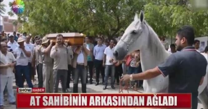 At ölən sahibi ilə belə vidalaşdı - VİDEO