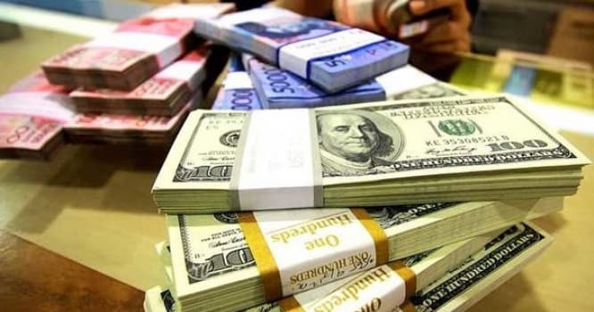 Dolların bu günə olan məzənnəsi açıqlandı - Rəsmi