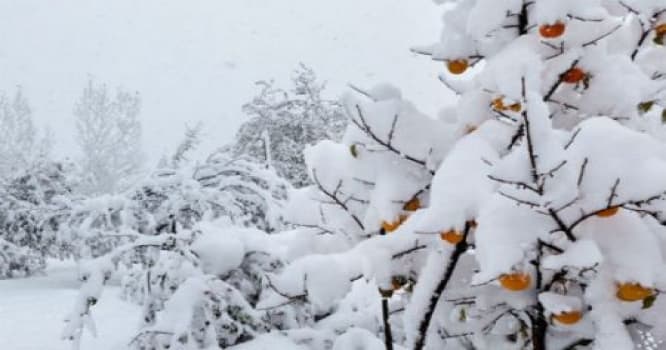 Qar yağacaq – HAVA PROQNOZU