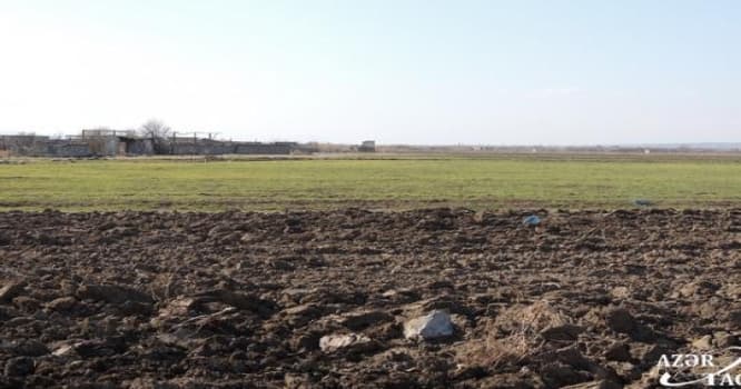 Cocuq Mərcanlıda poçt şöbəsi açılacaq