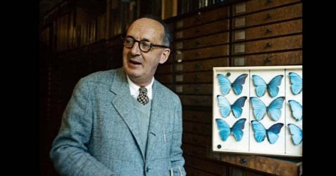 Vladimir Nabokov. Sərnişin - Oxu saatı